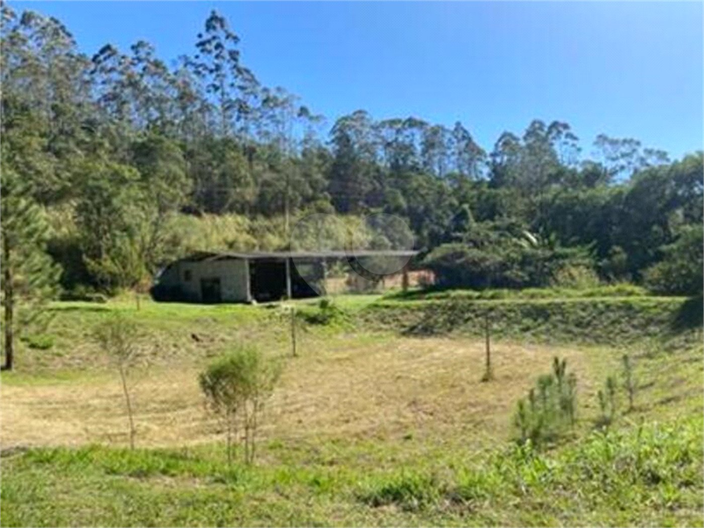 Sítio à venda com 2 quartos, sendo 1 suíte, em Ibiúna, Ibiúna, SP