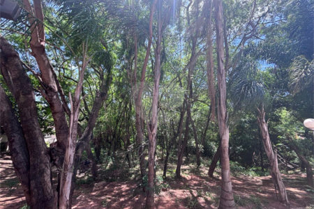 Apartamento à venda com 2 quartos em Vila Haro, Sorocaba, SP