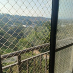 Apartamento à venda com 2 quartos em Lageado, Cotia, SP