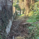 Terreno à venda em Vila Tramontano, São Paulo, SP