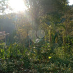 Terreno à venda no condomínio Cinco Lagos, Mairiporã - SP