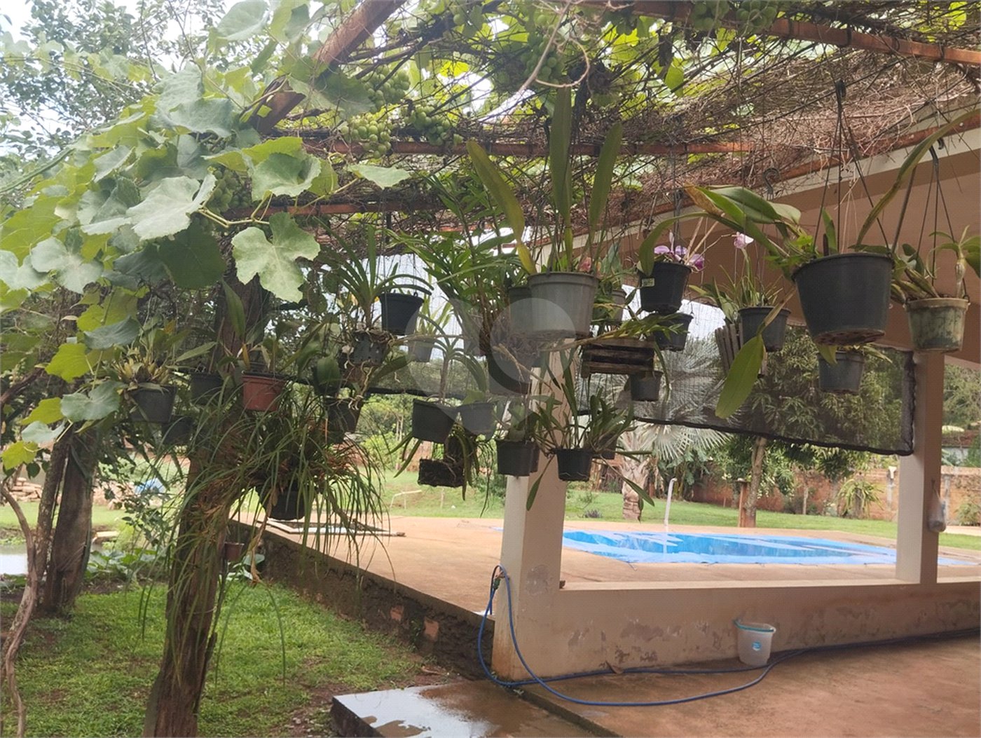 Chácara à venda com 3 quartos, sendo 1 suíte, em Chácara Flora Araraquara, Araraquara, SP