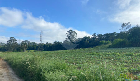 Terreno à venda em Parque Santa Rosa, Suzano, SP