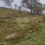 Área de Terra à venda em Alto da Serra (mailasqui), São Roque, SP