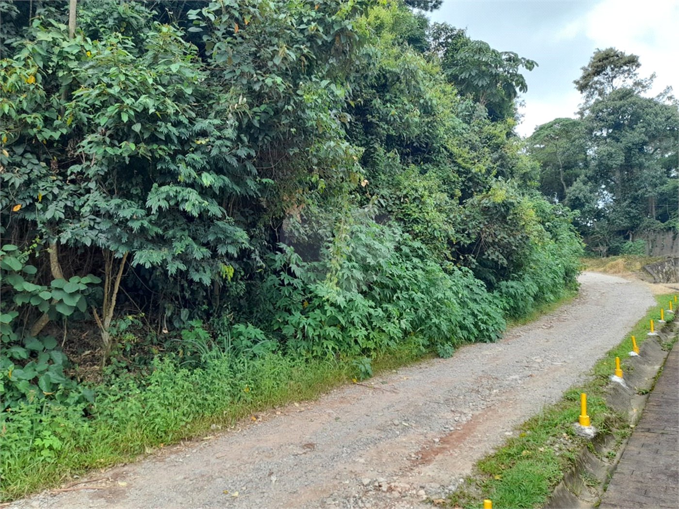 Terreno à venda em Serra da Cantareira, Mairiporã, SP