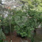 Sobrado à venda com 4 suítes em Tremembé, São Paulo, SP
