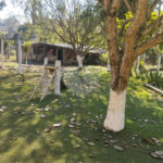 Chácara à venda com 6 quartos, sendo 1 suíte,  no Centro, Biritiba-mirim, SP