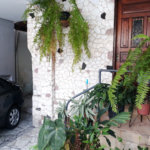 Casa Térrea à venda com 3 quartos em Tucuruvi, São Paulo, SP