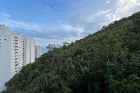 Apartamento Residencial à venda, Barra Funda, Guarujá - AP0311.