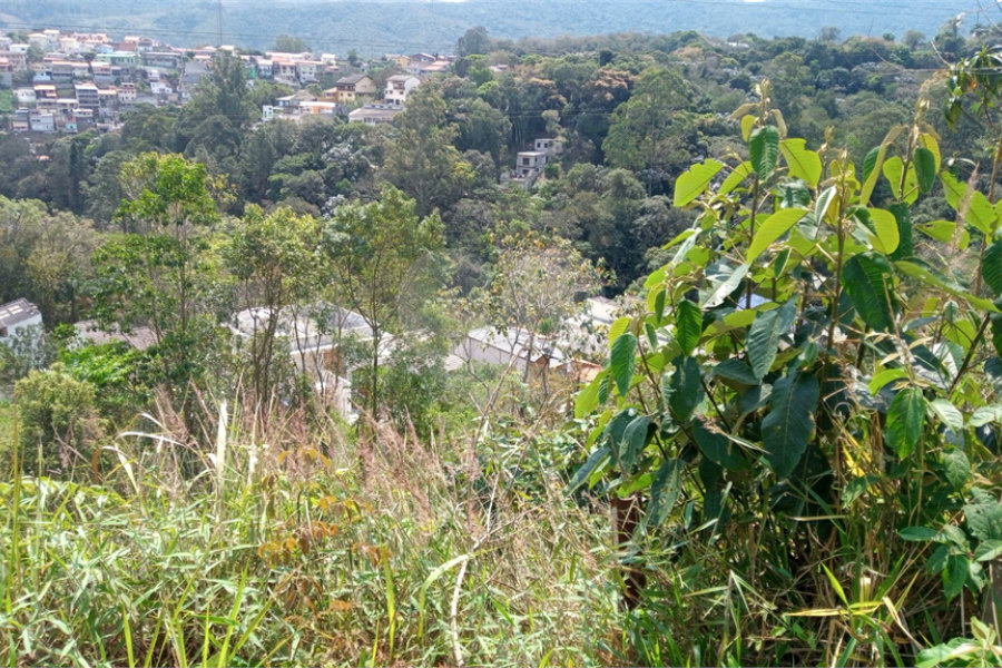 Terreno à venda em Barreiro, Mairiporã, SP