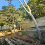 Terreno à venda em Albatroz, Armação dos Búzios, RJ