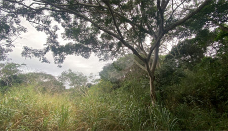 Terreno à venda em Ferradura, Armação dos Búzios, RJ