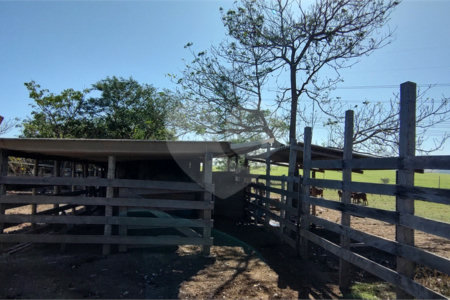 Sítio à venda com 2 suítes em Buru, Salto, SP