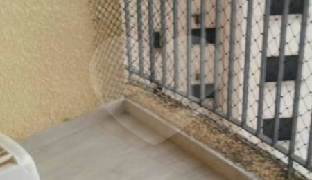 Apartamento à venda com 3 quartos, sendo 1 suíte, em Vila Vermelha, São Paulo, SP