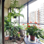 Apartamento à venda com 3 quartos, sendo 1 suíte, em Real Parque, São Paulo, SP