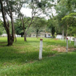 Sitio para venda.