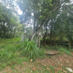 Terreno à venda no condomínio Alpes da Cantareira, Mairiporã - SP