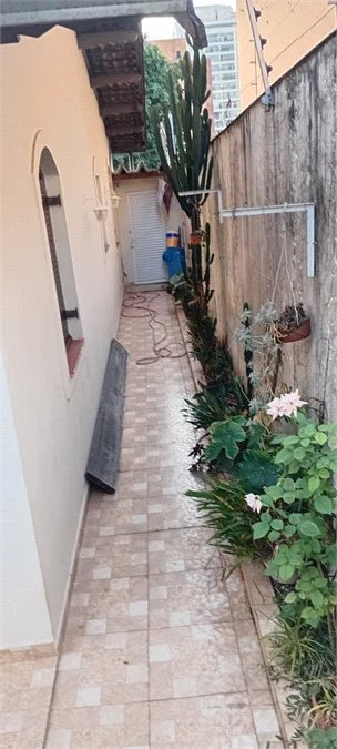 Casa à venda 350m2 com 4 quartos, sendo 2 suítes, em Vila Sônia
