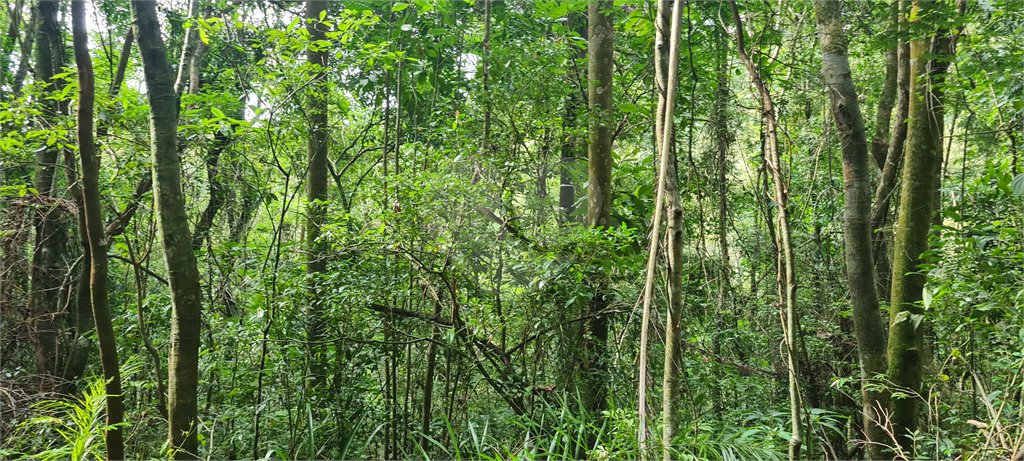 Terreno à venda em Caraguatá, Mairiporã, SP