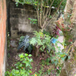 Casa à venda com 2 quartos, sendo 1 suíte,  em Vila Nova Bonsucesso, Guarulhos, SP
