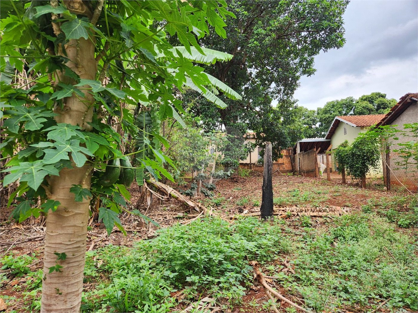 Chácara à venda com 2 quartos em Jardim Califórnia, Araraquara, SP