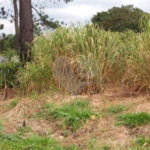Terreno à venda em Capela, Vinhedo, SP