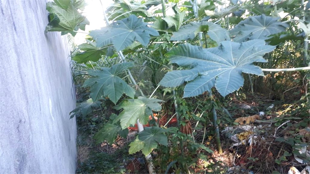 Terreno à venda em Jardim São Bento, São Paulo, SP