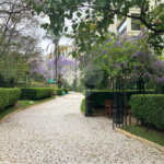 Apartamento para alugar com 3 suítes em Granja Julieta, São Paulo, SP