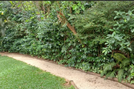 Apartamento à venda com 2 suítes em Parque do Morumbi, São Paulo, SP