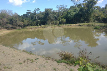 Sítio à venda em Tupinambá, Porto Feliz, SP
