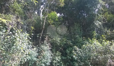Terreno à venda em Serra da Cantareira, Mairiporã, SP