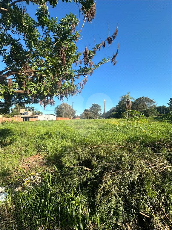 Terreno à venda em Pedro Juan Caballero, Amambay