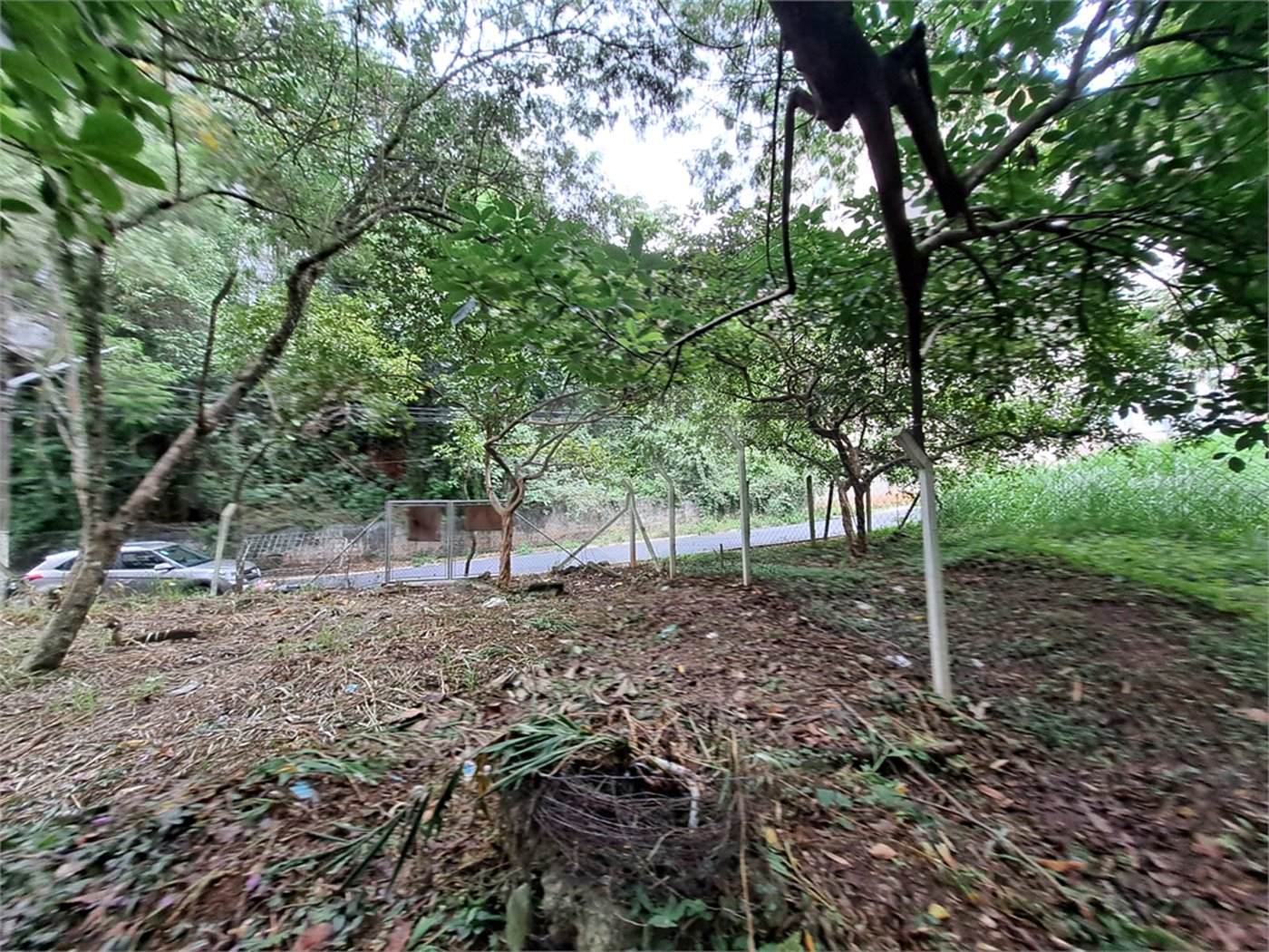 Terreno à venda em Jardim Ampliação, São Paulo, SP