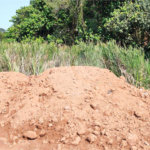 Terreno em Atibaia com 4.800 metros, pronto para construir, topografia plana, aceita financiamento