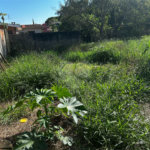 Terreno à venda em Chapadinha, Itapetininga, SP