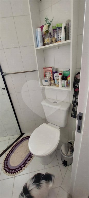 Apartamento à venda com 2 quartos, sendo 1 suíte, em Chora Menino, São Paulo, SP