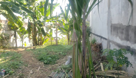 Terreno à venda em Bosque da Saúde, São Paulo, SP