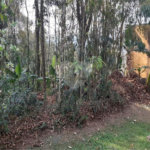 Terreno à venda em Roseira, Mairiporã, SP