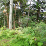 Terreno à venda em Alto da Boa Vista, São Paulo, SP