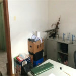 Sobrado à venda com 3 suítes em Tremembé, São Paulo, SP
