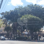 Sobrado à venda com 4 quartos, sendo 1 suíte, em Santana, São Paulo, SP