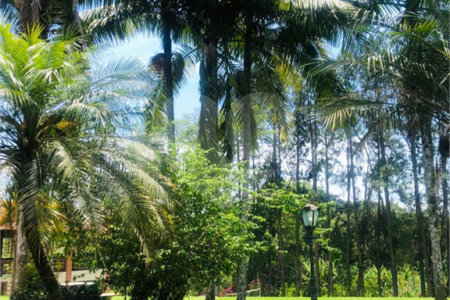 Chácara à venda com 5 quartos, sendo 2 suítes, em Taiaçupeba, Mogi das Cruzes, SP
