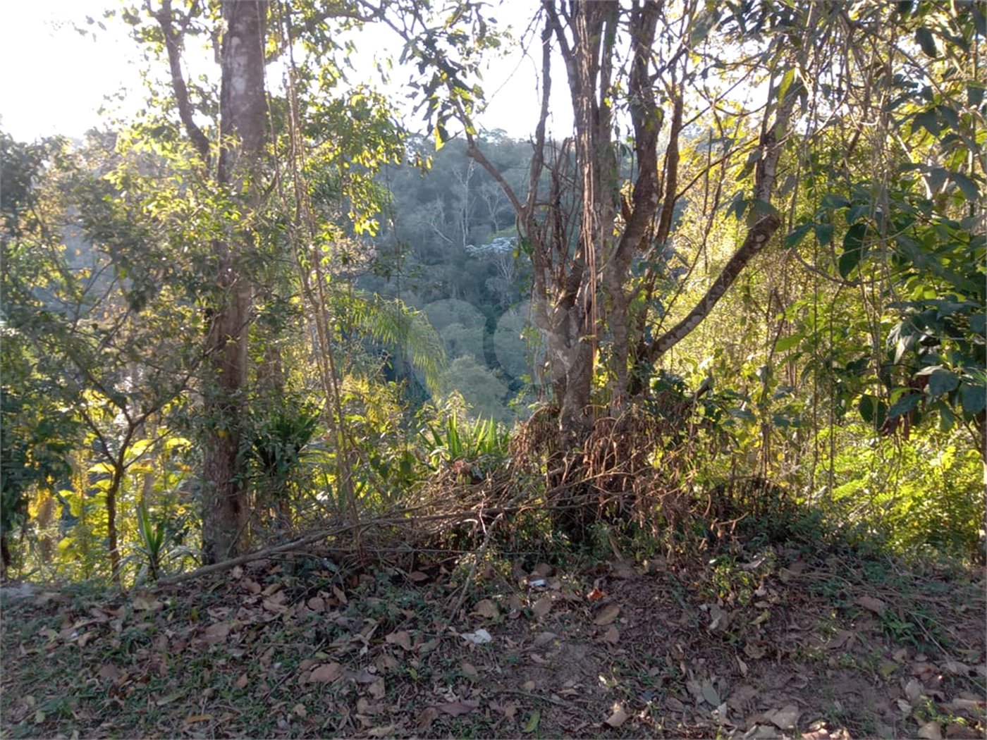 Terreno à venda no condomínio Cinco Lagos, Mairiporã - SP