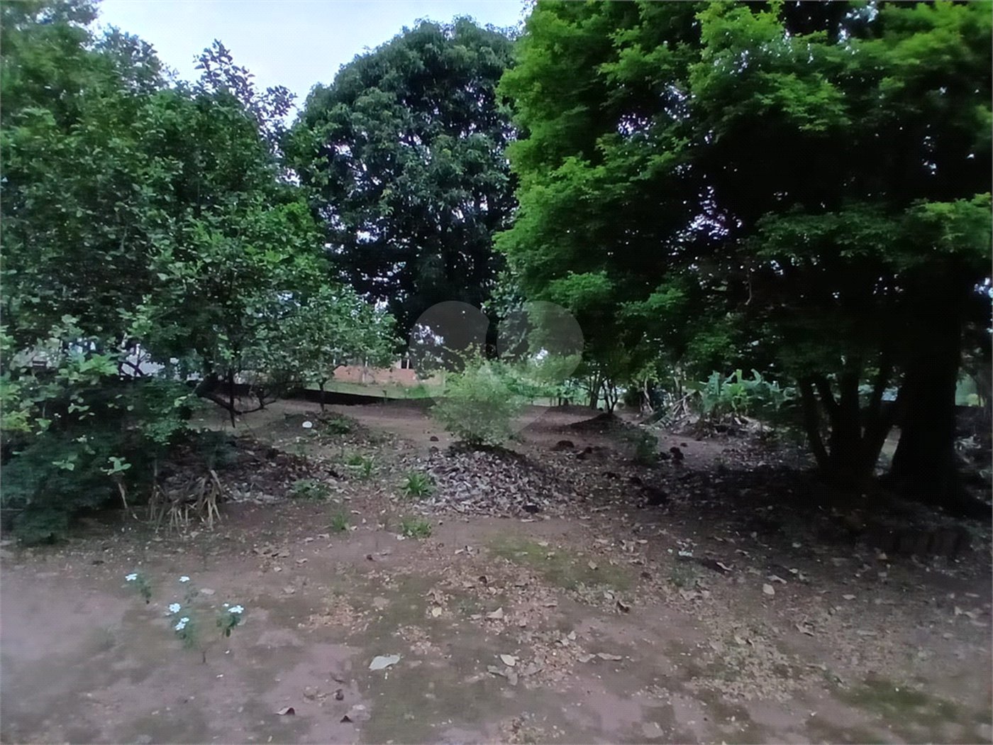 Chácara para venda na cidade de Ibaté/SP