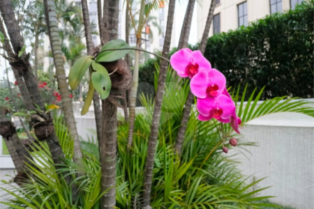 Apartamento à venda com 3 quartos, sendo 1 suíte,  em Jardim Marajoara, São Paulo, SP