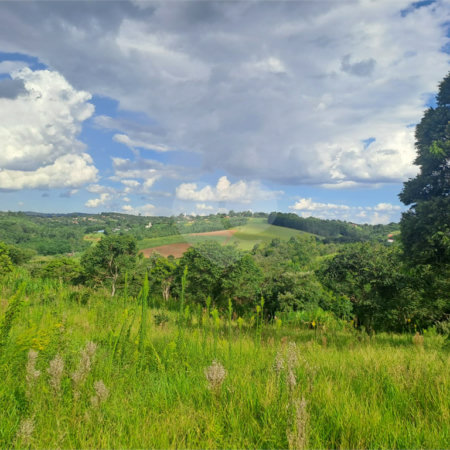 Terreno à venda em Arataba II, Louveira, SP
