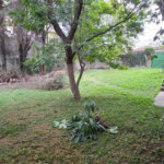 Sobrado à venda com 5 quartos, sendo 2 suítes, em Jardim do Mar, São Bernardo do Campo, SP