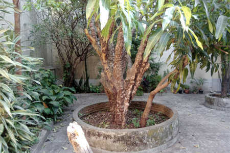 Sobrado à venda com 3 quartos, sendo 2 suítes, em Jardim do Colégio (zona Norte), São Paulo, SP