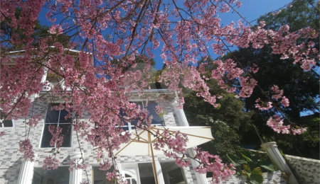Casa para alugar com 4 suítes no condomínio Alpes da Cantareira, Mairiporã - SP