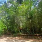 Terreno à venda em Vila Moraes, Mogi das Cruzes, SP
